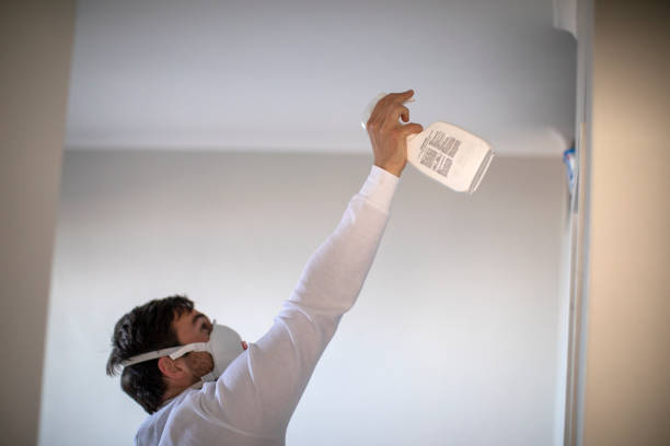 Best Mold Testing  in Stratford, TX