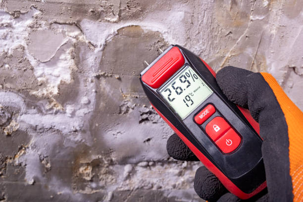 Mold Removal and Inspection in Stratford, TX