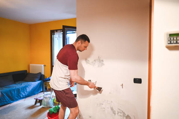 Attic Mold Removal in Stratford, TX